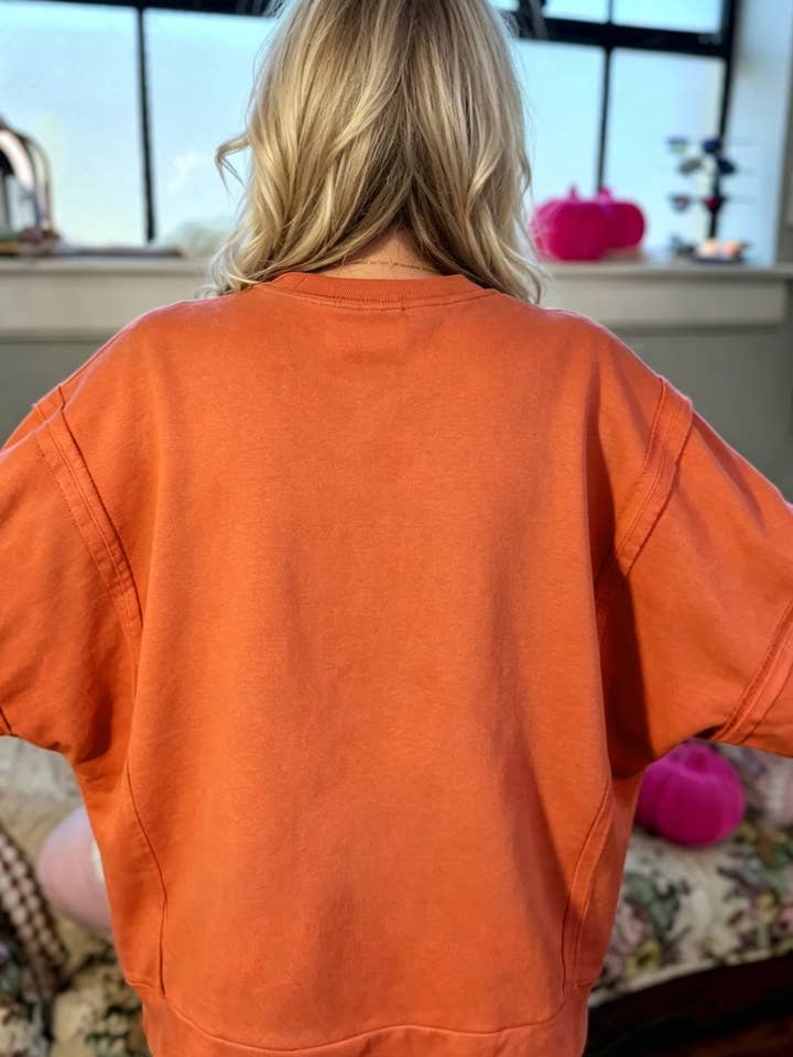Flamingo Halloween Witchy Plaid Slogan Embroidered Tunic Sweatshirt