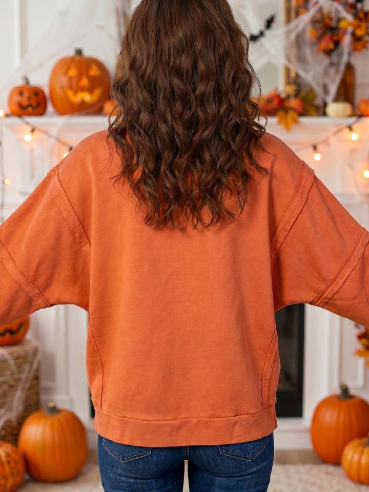 Flamingo Halloween Witchy Plaid Slogan Embroidered Tunic Sweatshirt